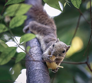 cc攻击免费网页版