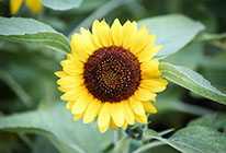 免费ddos平台攻击