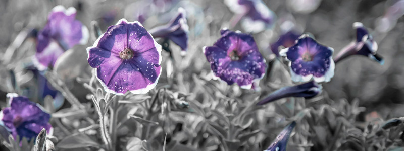 快速问题定位的ddos压力在线测试平台