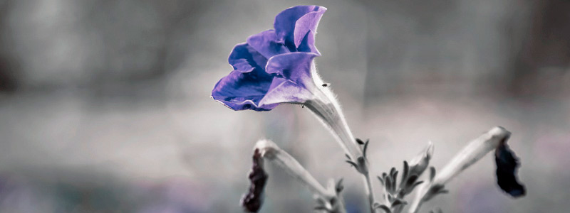 为企业保驾护航的网站攻击源码